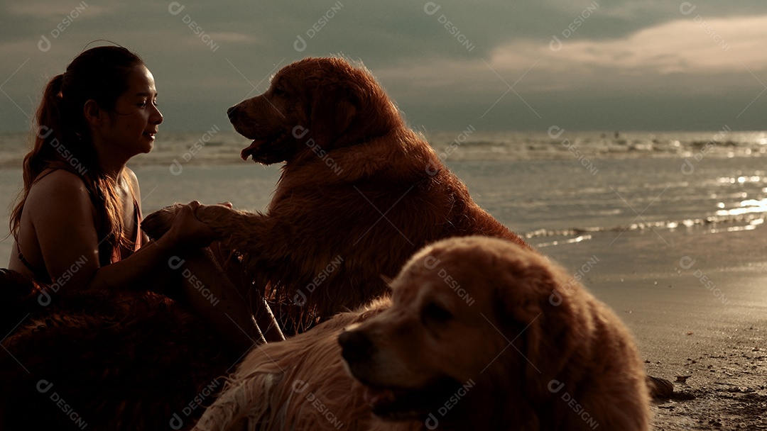 A mulher feliz com o grupo de cães que senta-se relaxa e descansa aprecia a liberdade na praia