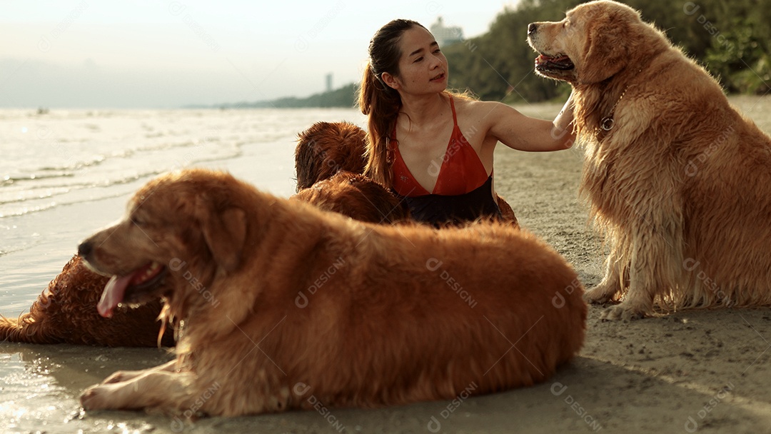 A mulher feliz com o grupo dourado do cão que senta-se relaxa e descansa aprecia a liberdade na praia