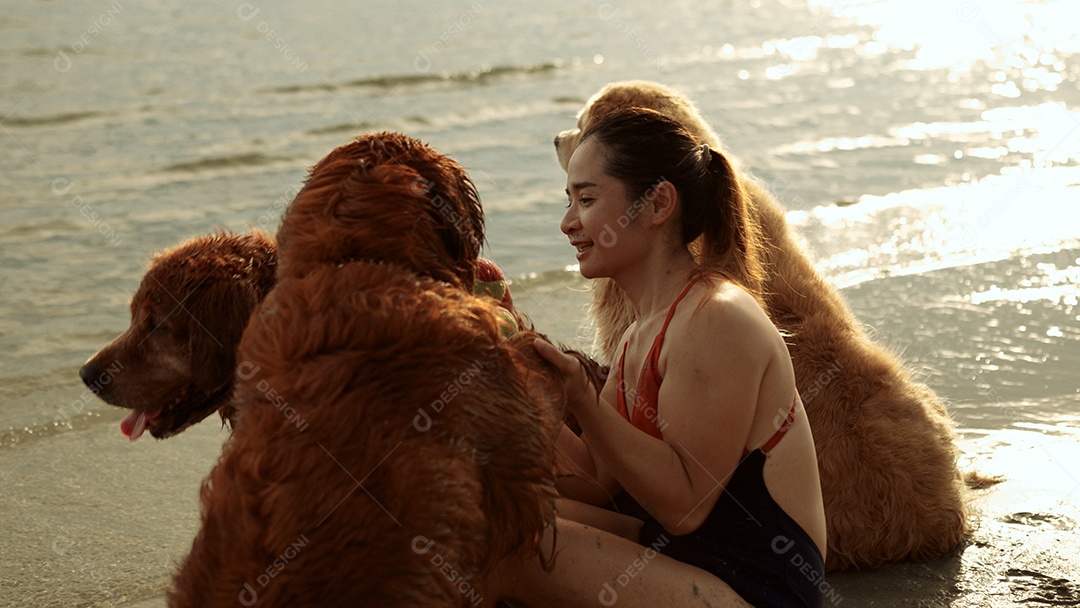 Grupo de cães que senta-se relaxa e descansa aprecia a liberdade na praia