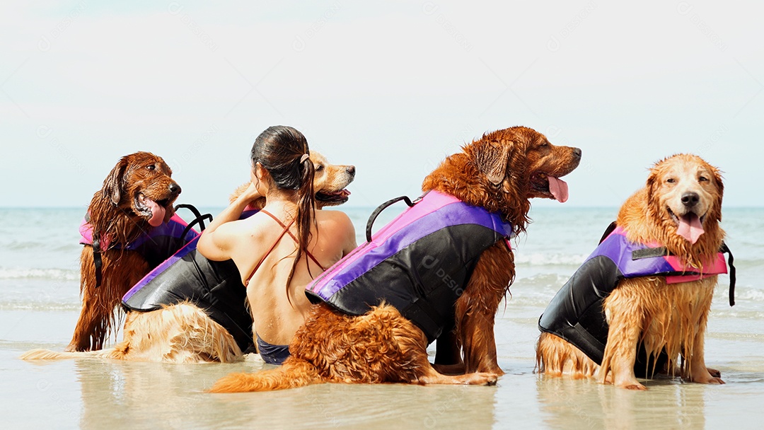 A mulher feliz com o grupo de cães que senta-se relaxa e descansa aprecia a liberdade na praia