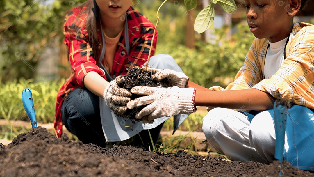 Criança bonita plantando árvore jovem no solo