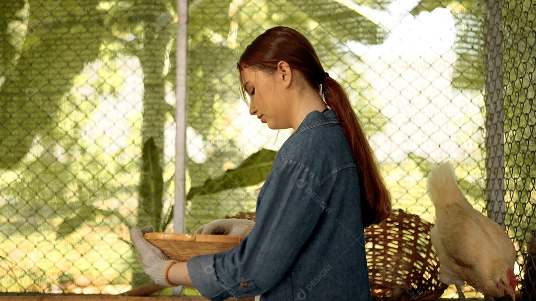 Mulher feliz agricultora colhendo ovos frescos na fazenda