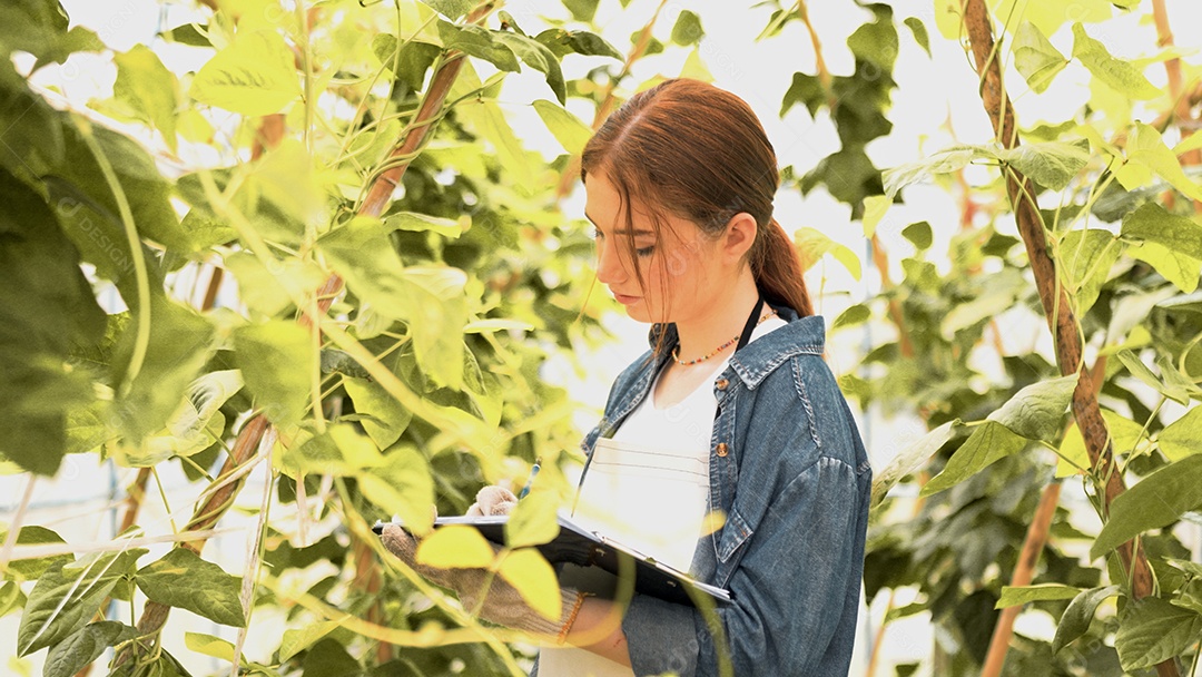 Mulher feliz agricultora fazendo análises na fazenda