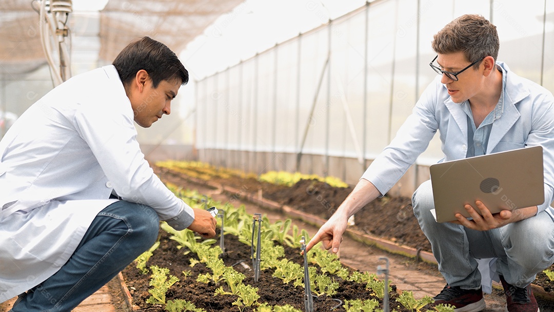 Dois jovens biotecnólogos de jaleco branco usam lupa para verificar plantas