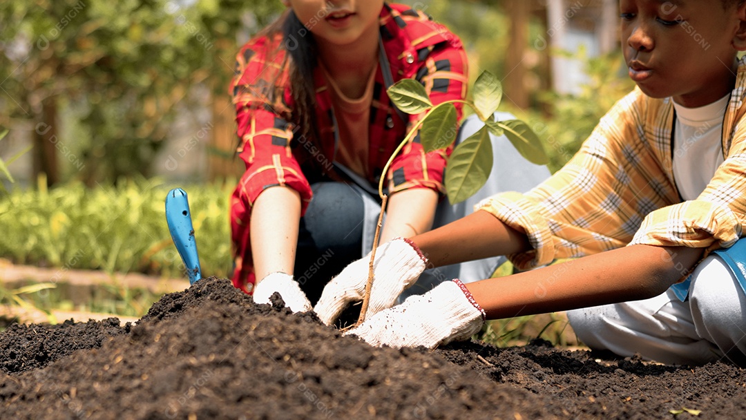 Criança bonita plantando árvore jovem no solo preto trabalhando no jardim como salvar o conceito de mundo