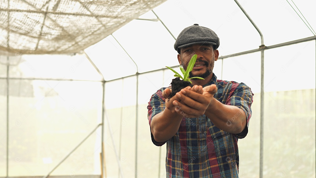 Homem mostra pequena árvore para plantar