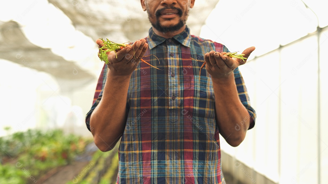 O homem de perto mostra uma pequena cenoura para crescer vegetais