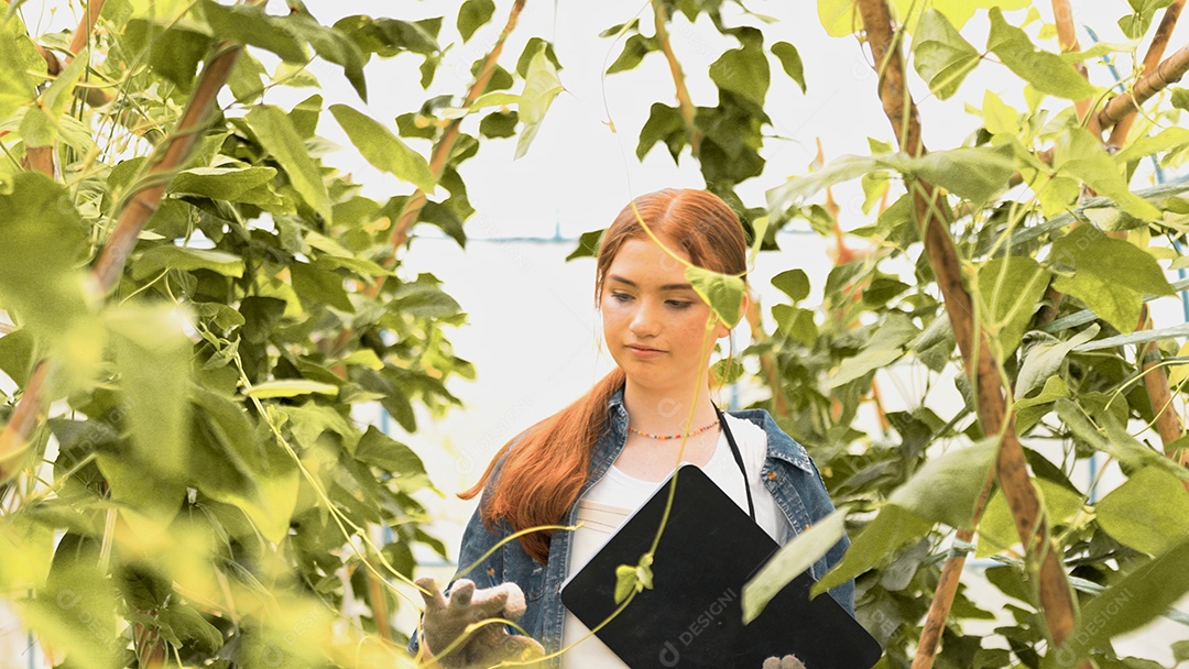 Mulher jovem feliz verifica legumes orgânicos frescos e escreve na área de transferência na fazenda.