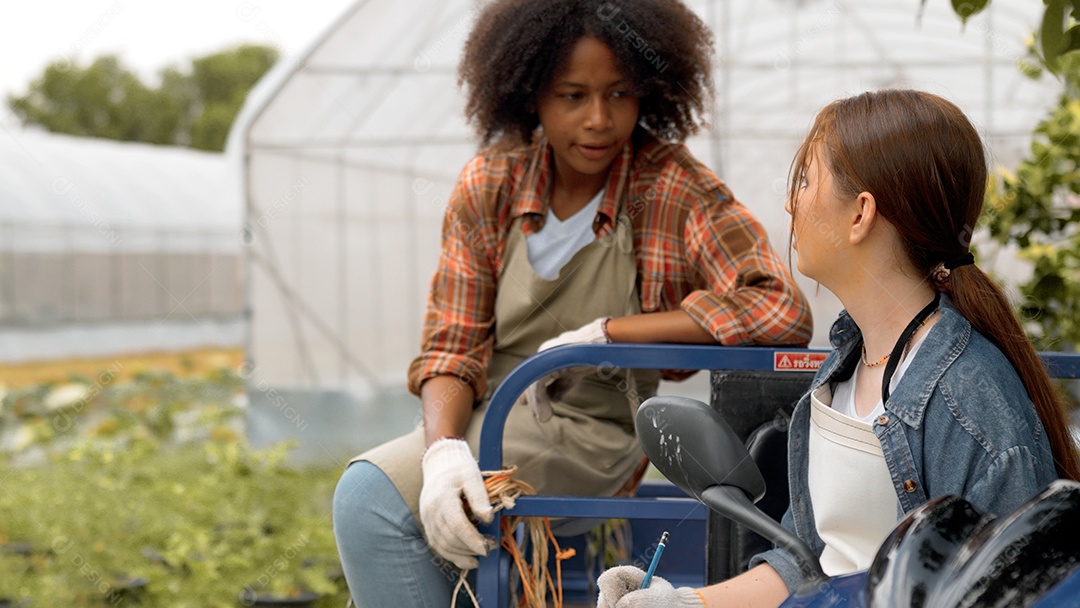 Duas jovens felizes falam e escrevem em vegetais orgânicos da fazenda.