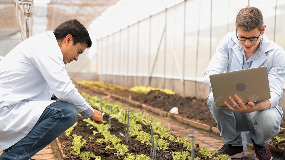 Dois jovens biotecnólogos de jaleco branco usam lupa para verificar