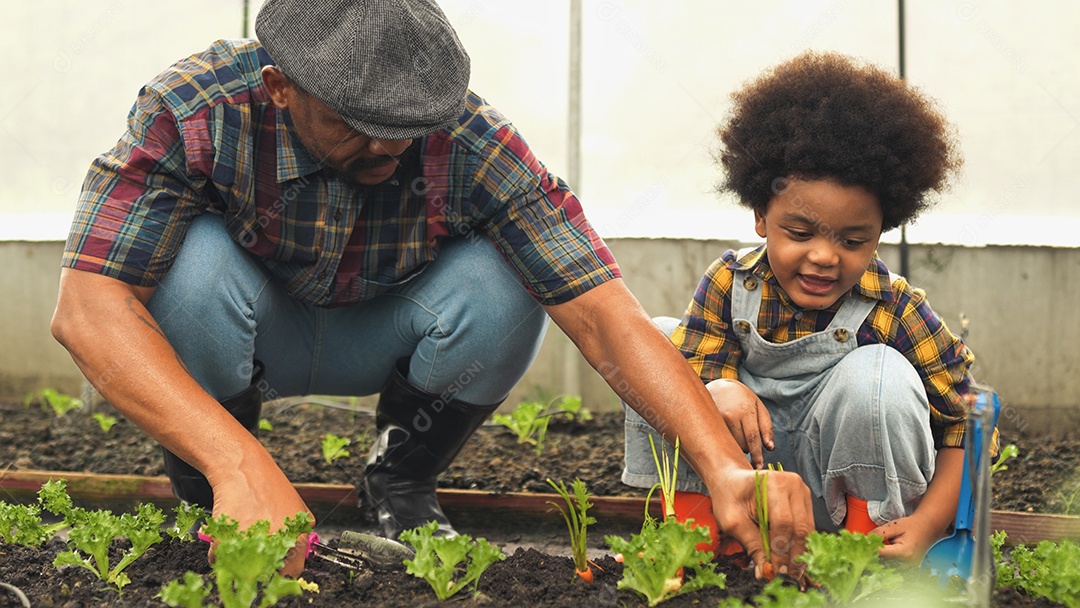 O homem asiático ensina seu filho a cultivar vegetais hidropônicos frescos orgânicos em um jardim com efeito de estufa
