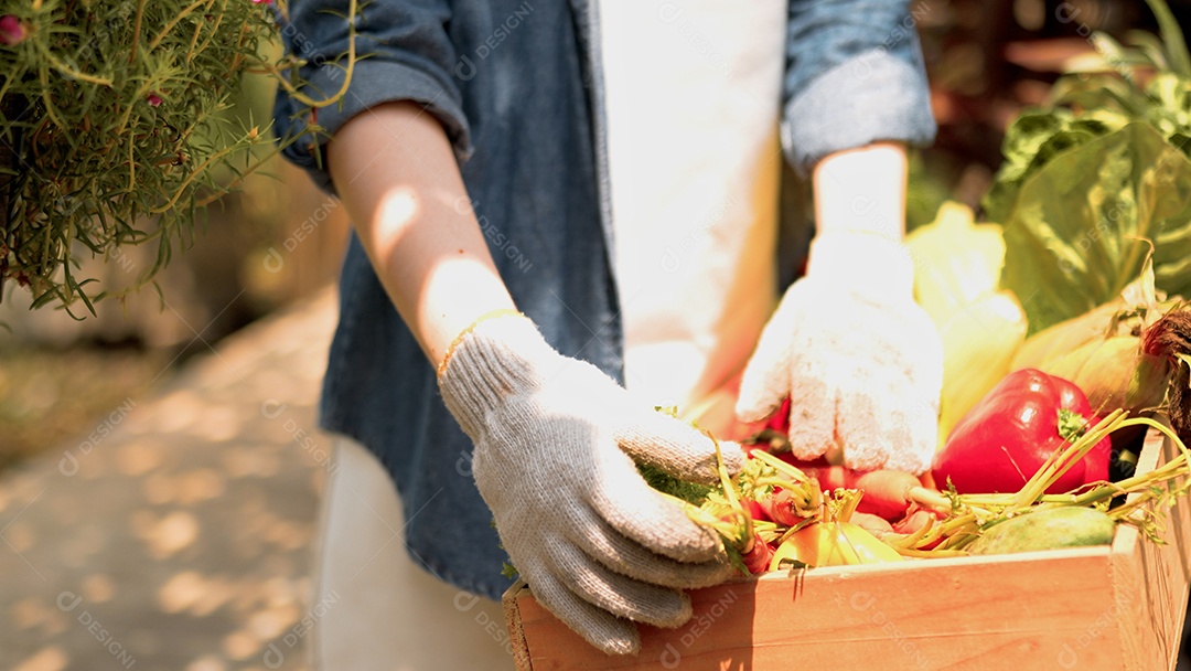 Close-up mão jovem segurando pimentões com legumes orgânicos frescos