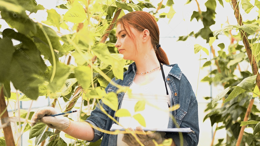 Mulher jovem feliz verifica legumes orgânicos frescos e escreve na área de transferência na fazenda.