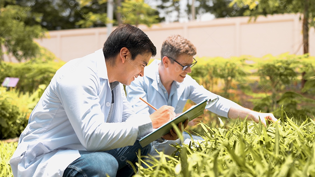Dois jovens biotecnólogos de jaleco branco verificam espinafre de água para pesquisa com outras espécies vegetais em fazenda orgânica.
