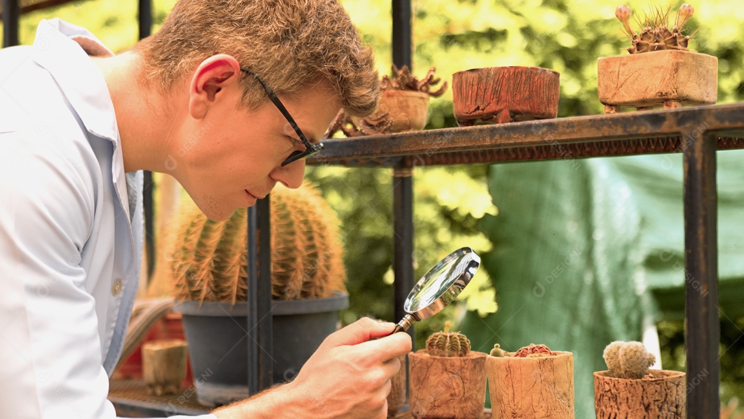 Homem de jaleco branco examinando cacto através de lupa enquanto trabalhava no jardim com efeito de estufa.