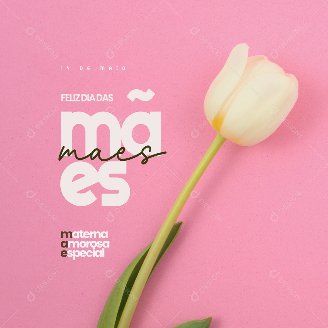 Feliz Dia Das Mães 14 de Maio Social Media PSD Editável