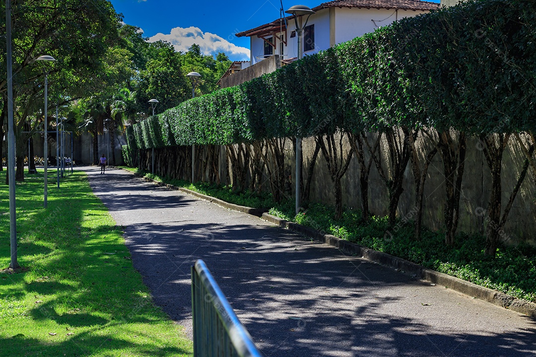 Estrada com lindo arbustos aparados