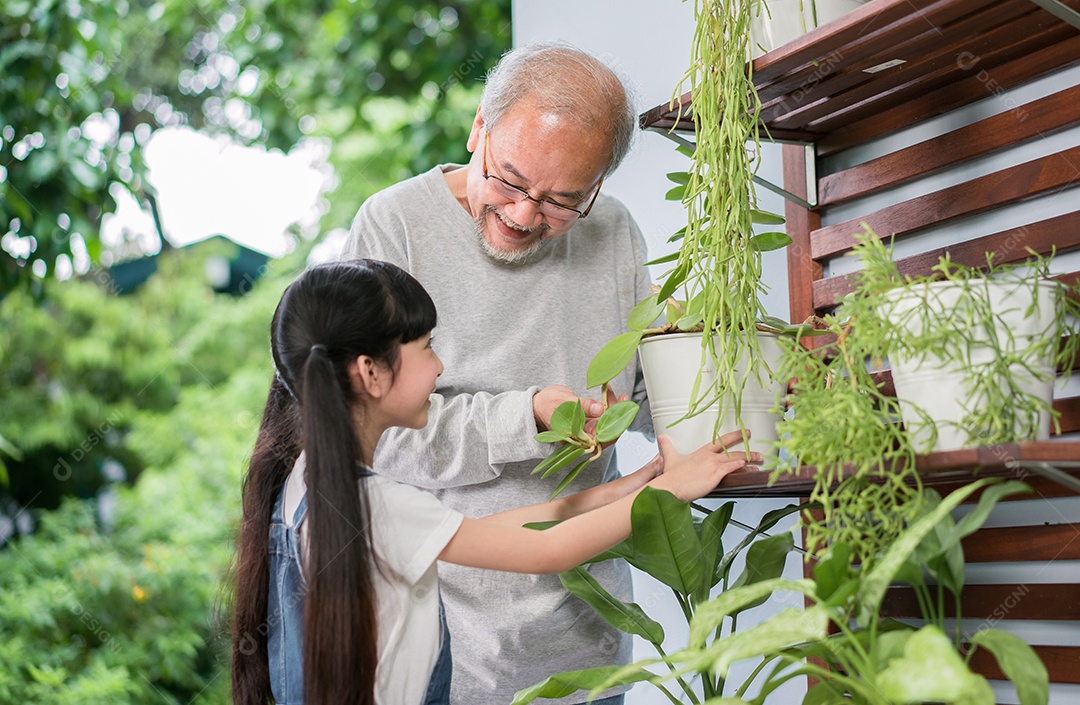 Feliz avô asiático com neta cuidando das plantas juntas no quintal do jardim de casa perto da sala de estar.