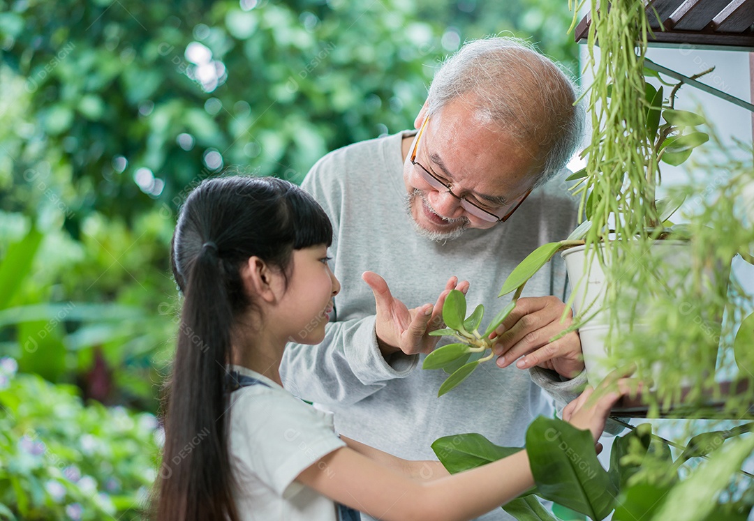 Feliz avô asiático com neta cuidando das plantas juntas no quintal do jardim de casa perto da sala de estar.