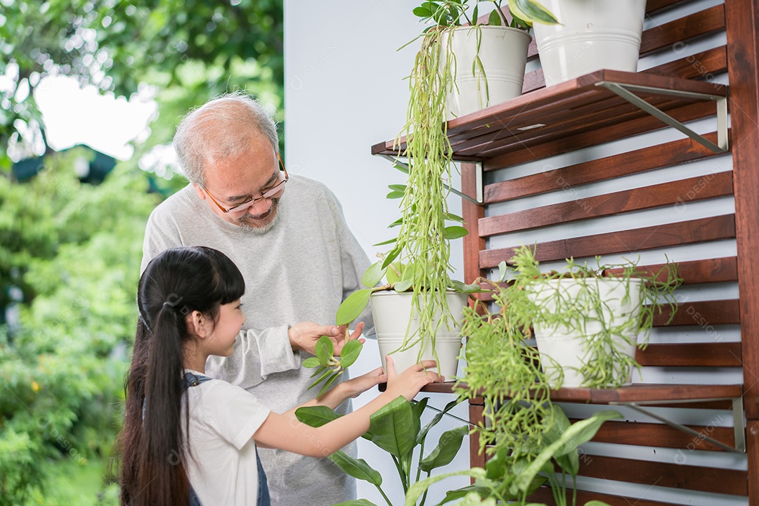 Feliz avô asiático com neta cuidando das plantas juntas no quintal do jardim de casa perto da sala de estar.