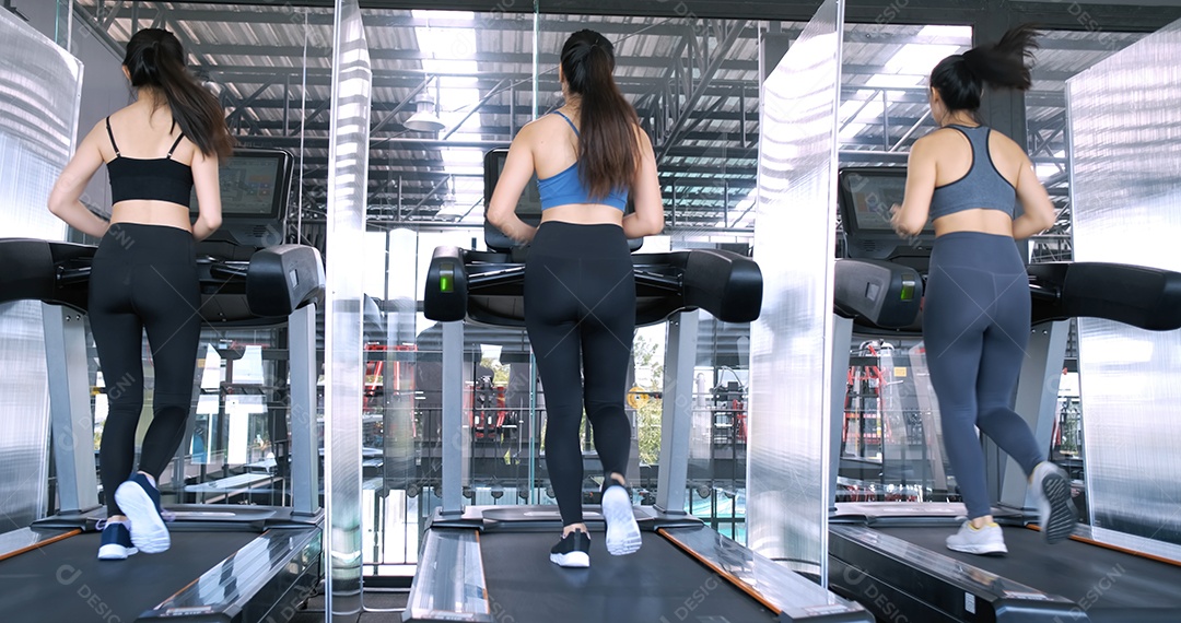 Mulheres jovens treinando exercícios na academia