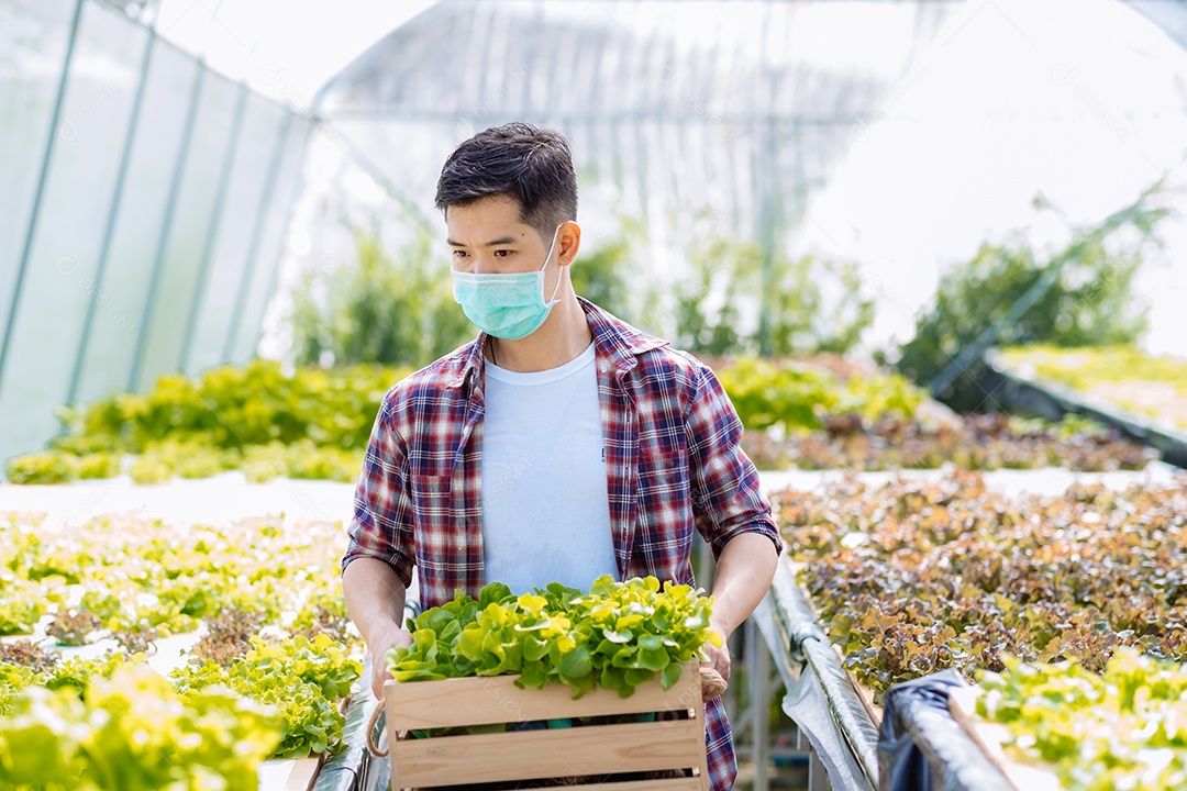 Jovem asiático em colheita de fazenda orgânica