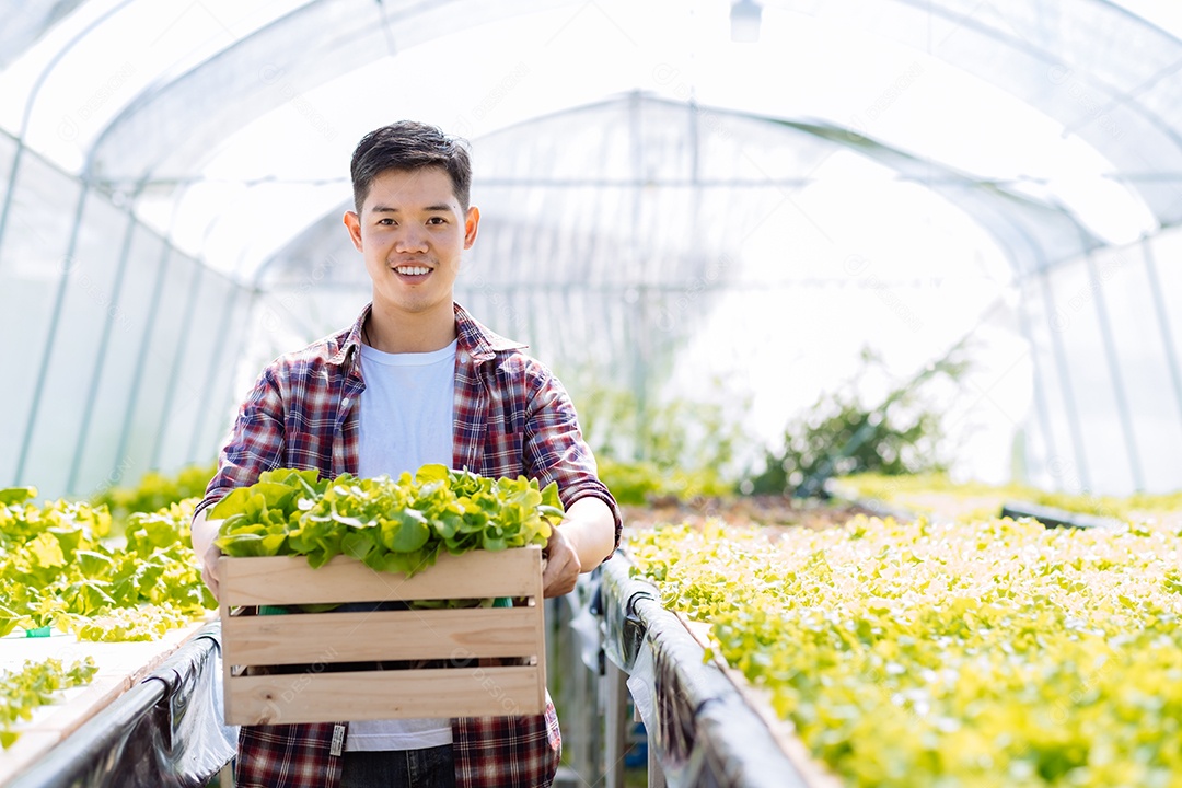 Jovem asiático em colheita de fazenda orgânica
