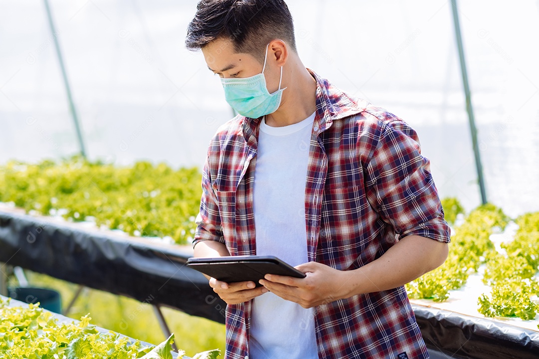 Jovem asiático agricultor trabalhando no fundo da fazenda hidropônica