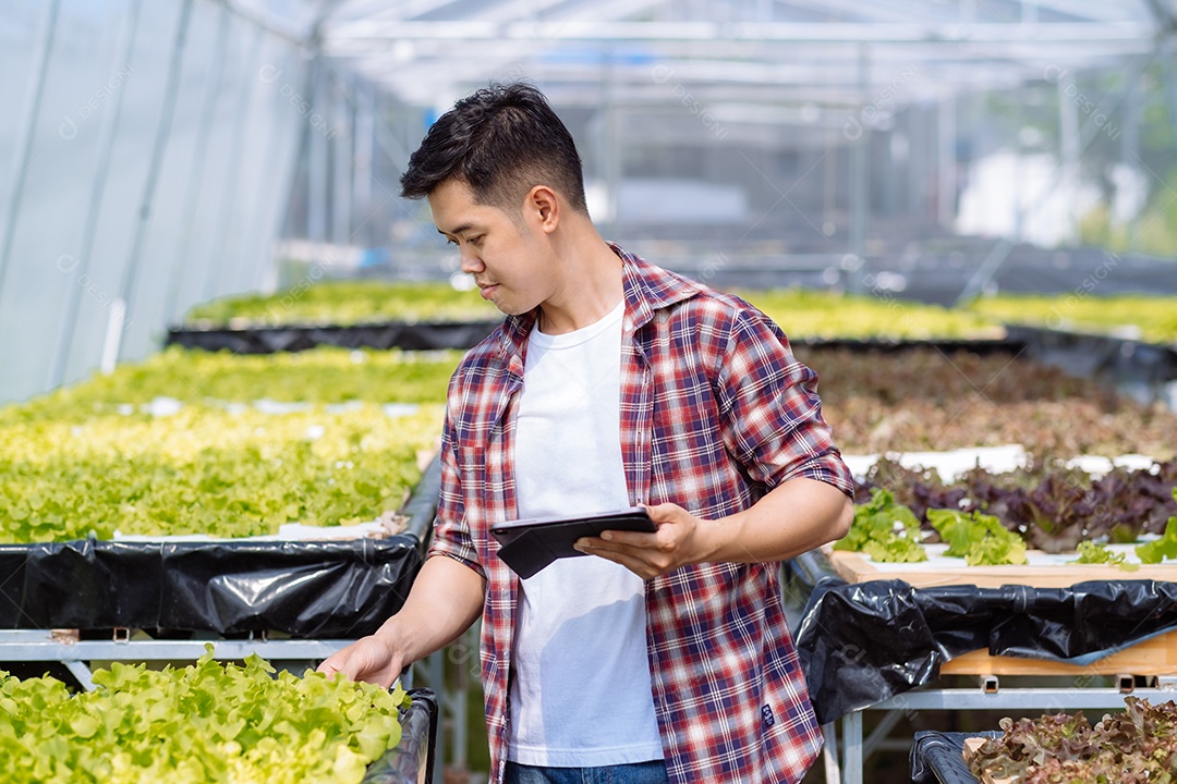 Jovem asiático agricultor trabalhando no fundo da fazenda hidropônica