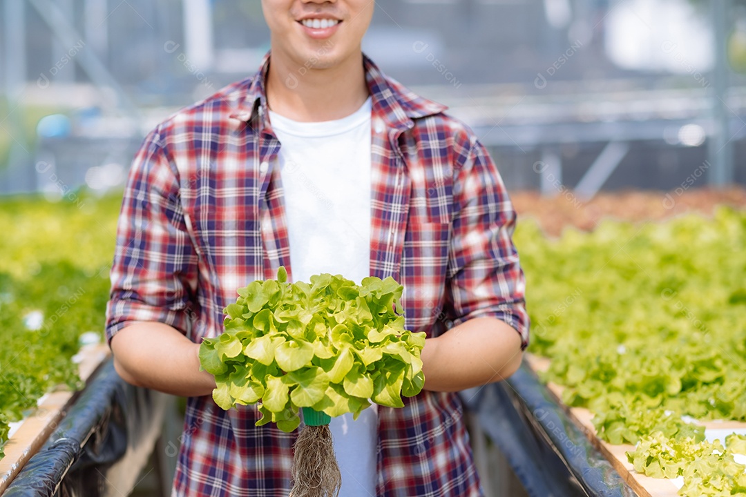 Jovem asiático agricultor trabalhando no fundo da fazenda hidropônica