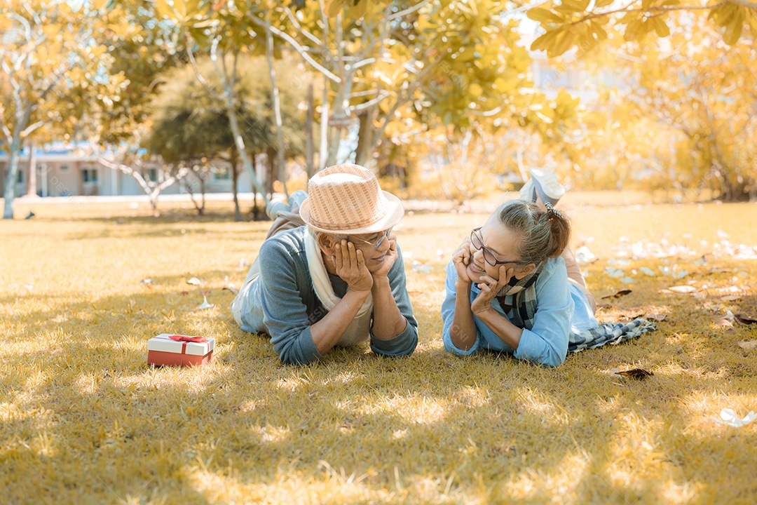 Casal asiático sênior idoso relaxando no parque