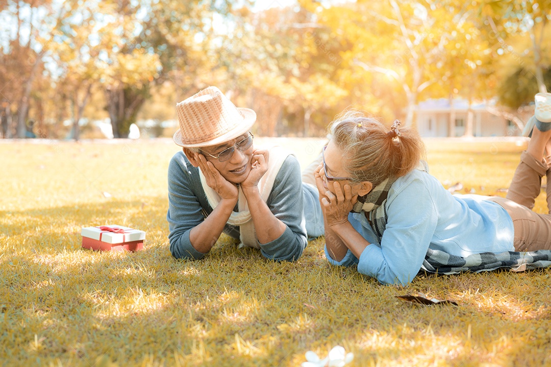 Casal asiático sênior idoso relaxando no parque