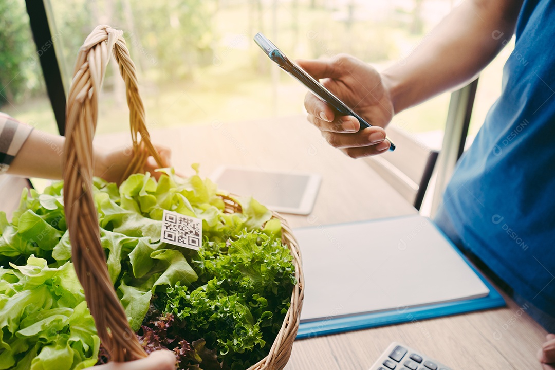 Scanner de código QR comprando vegetais hidropônicos na cesta na estufa do mercado