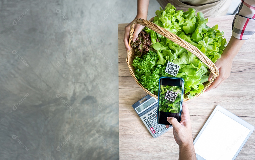 Scanner de código QR comprando vegetais hidropônicos na cesta na estufa do mercado