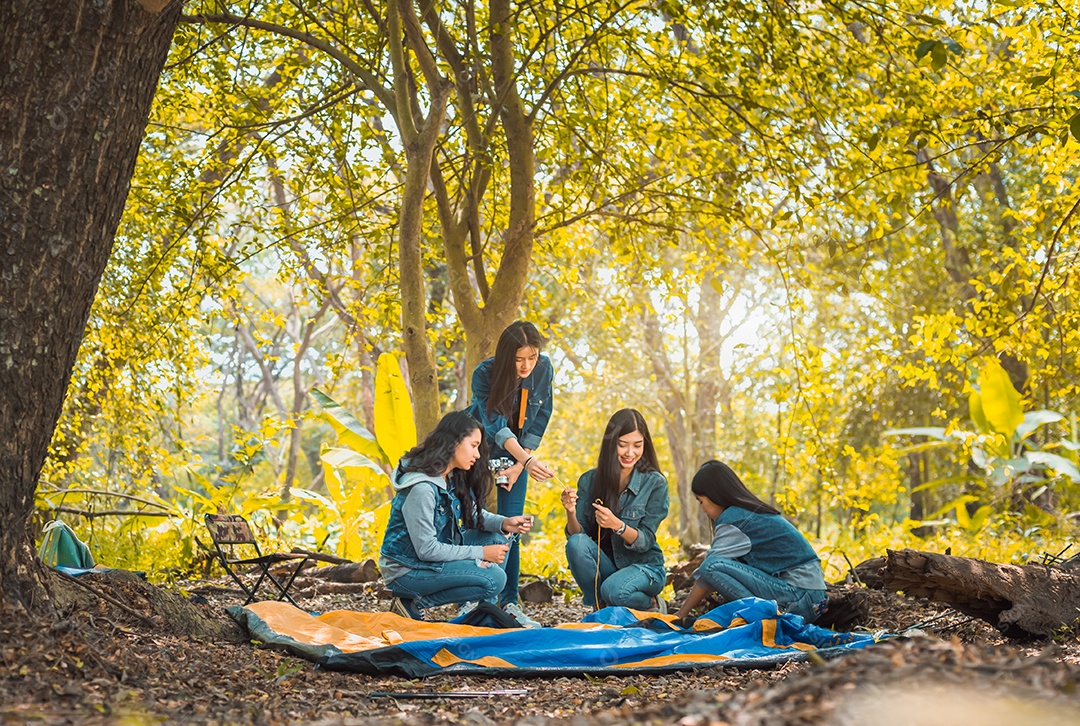 Grupo de jovens mulheres asiáticas ajudando a construir uma barraca