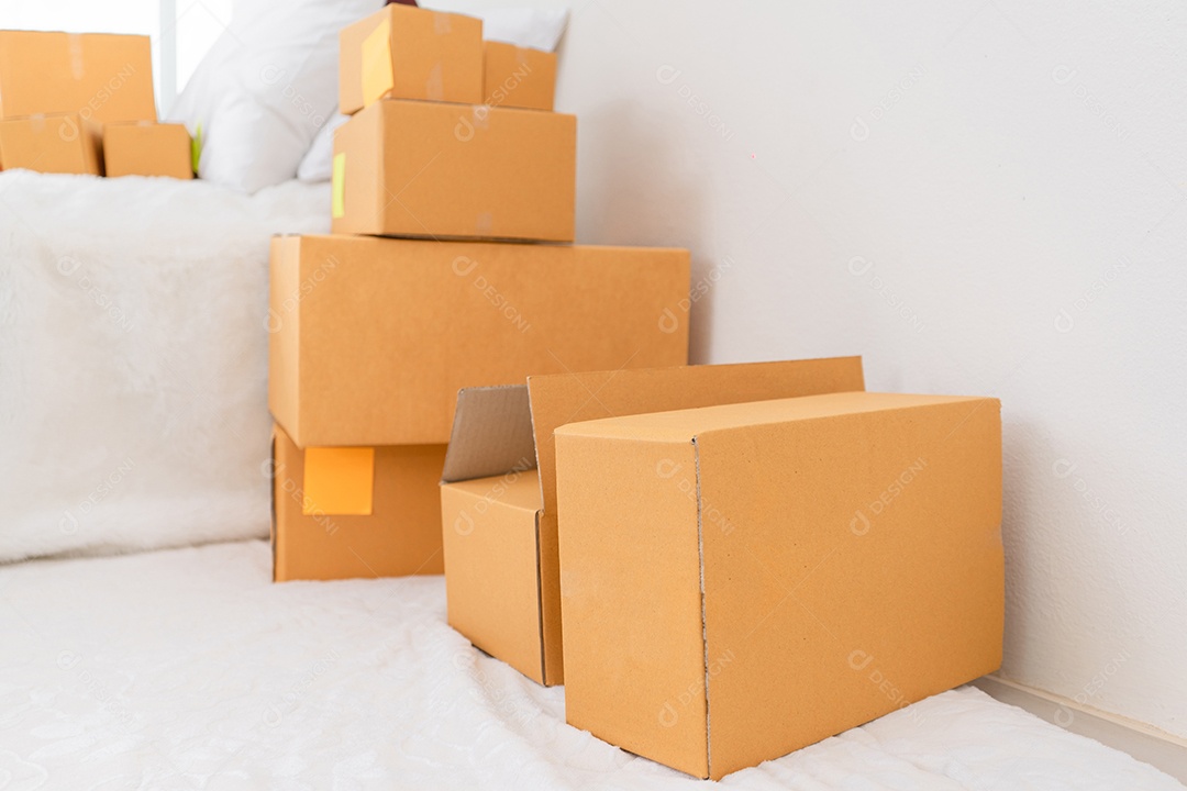 Pacote de caixa de negócios de PME para serviço on-line de entrega ao conceito de cliente.