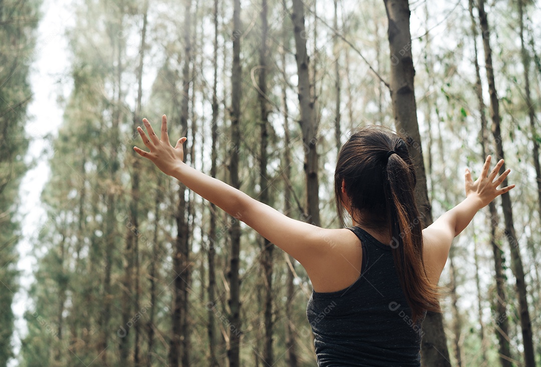 As mulheres praticam esportes descansando e relaxam na floresta após o treino de corrida