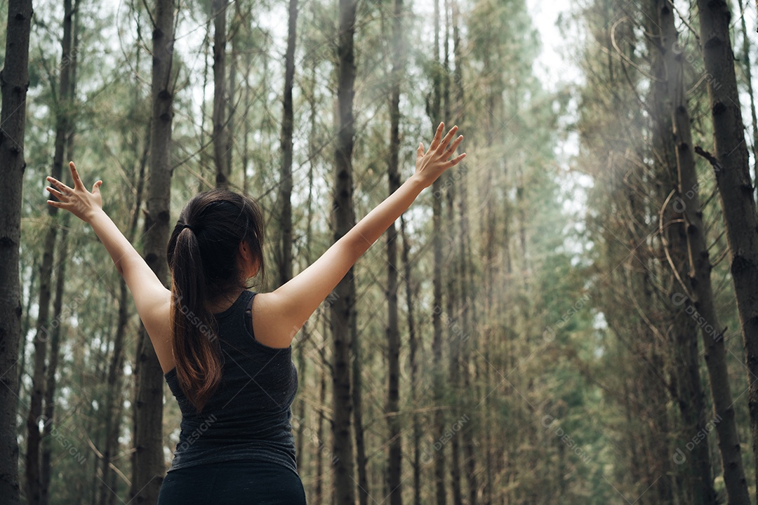 As mulheres praticam esportes descansando e relaxam na floresta após o treino de corrida
