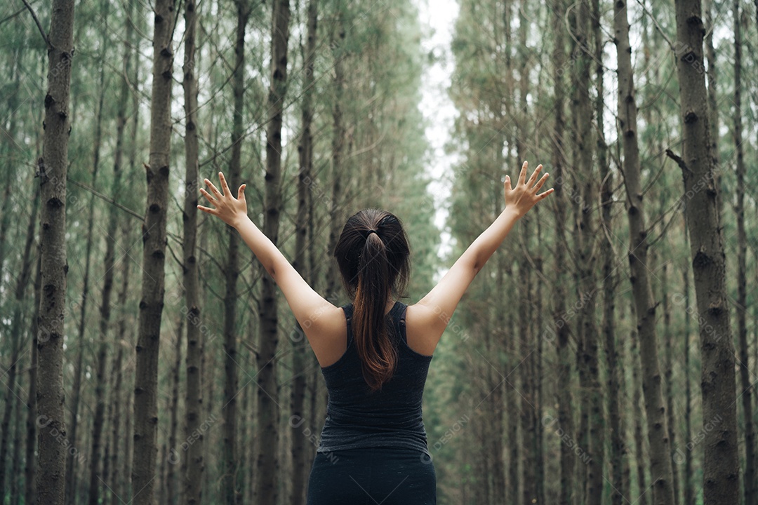 As mulheres praticam esportes descansando e relaxam na floresta após o treino de corrida