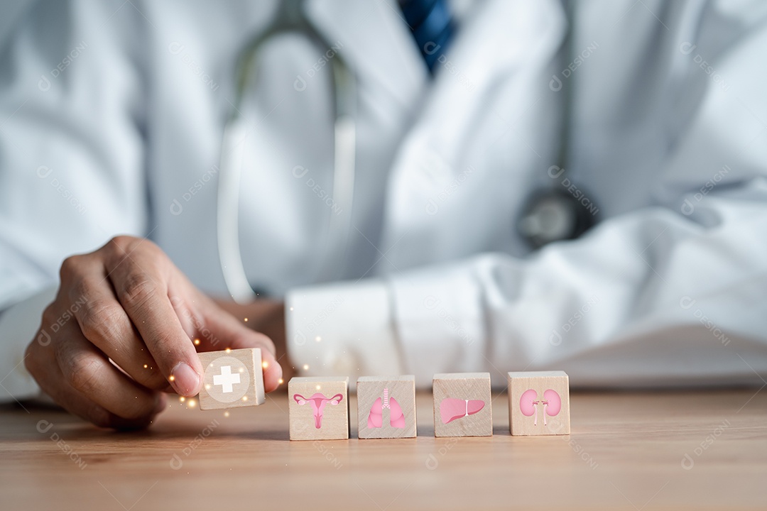 Conceito de seguro de saúde. Médico com ícone virtual de órgãos, útero de check-up, sistema reprodutivo feminino