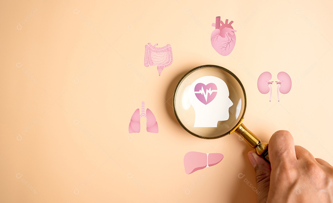 Check-up médico e conceito de saúde do órgão. Pesquisa de bem-estar médico com exame do paciente.