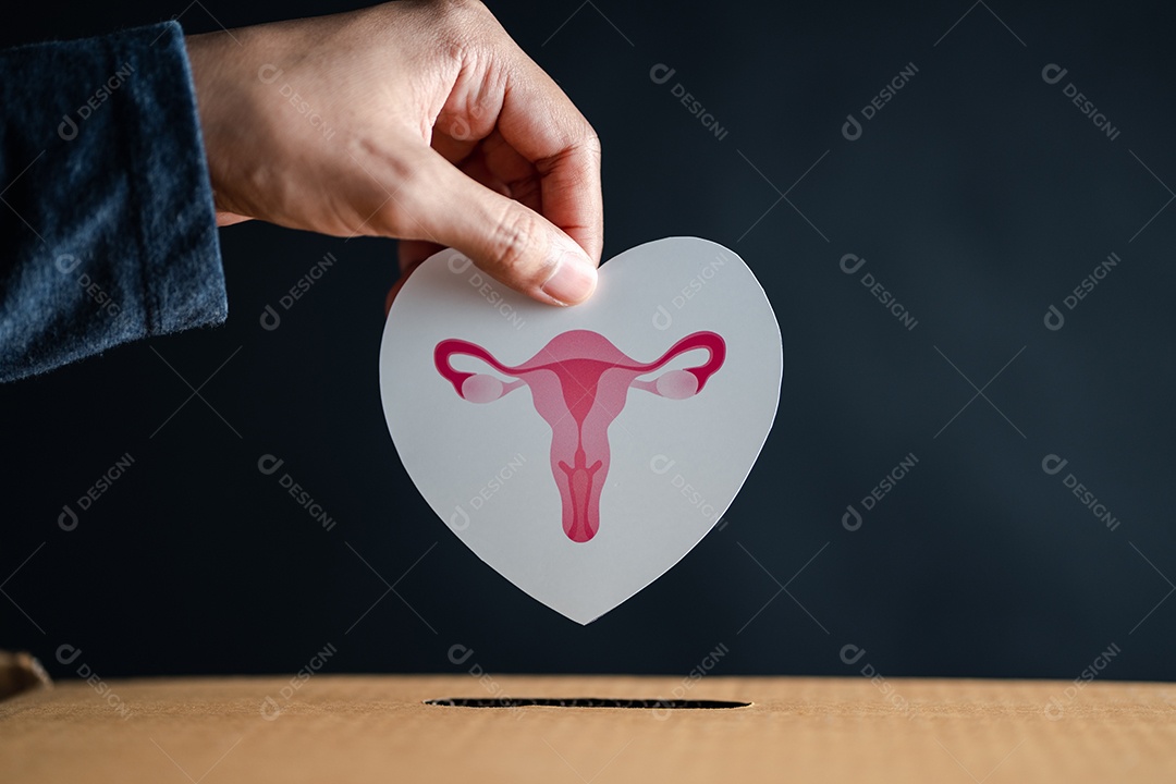 As mãos deixam cair o útero na caixa de doação, sistema reprodutivo feminino