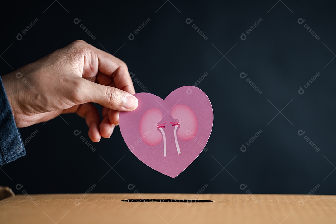 Mãos soltam papel de rim cortado em caixa de doação.