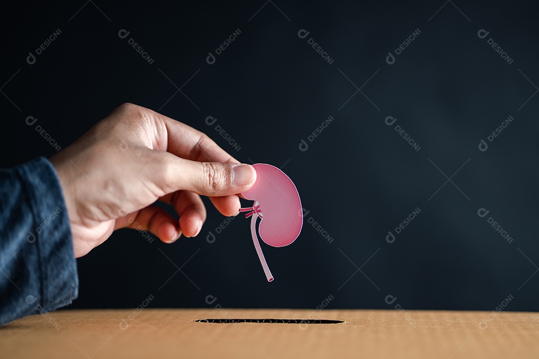 Mãos soltam papel de rim cortado em caixa de doação.