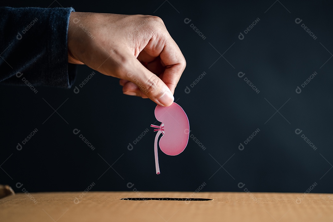 Mãos soltam papel de rim cortado em caixa de doação.