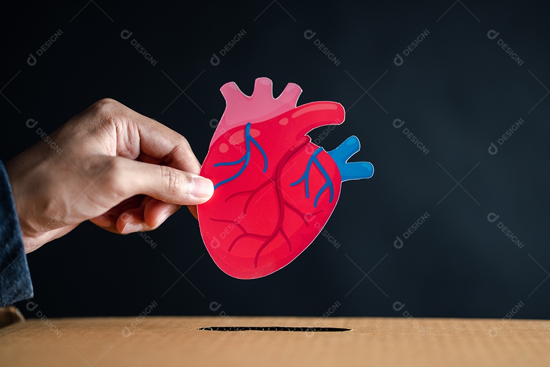 As mãos soltam o coração vermelho na caixa de doação. assistência médica