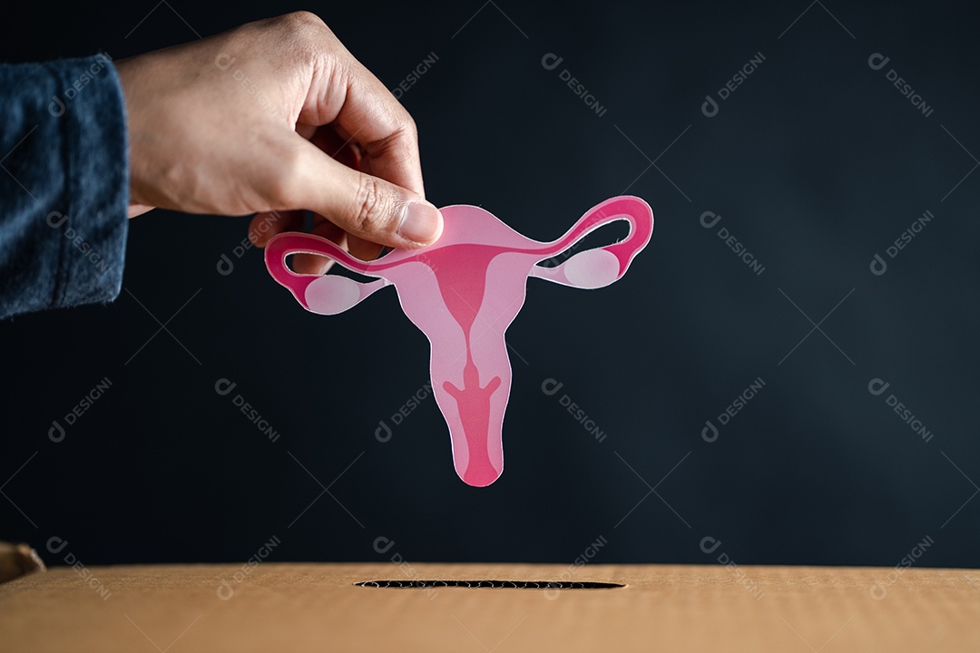 As mãos deixam cair o útero na caixa de doação, sistema reprodutivo feminino