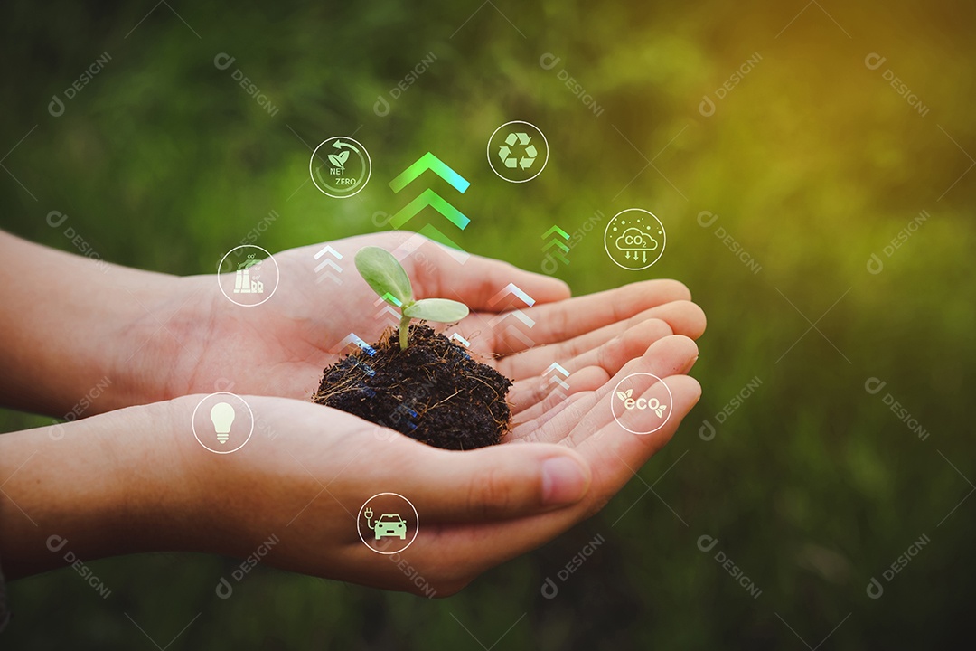 As plantas jovens aumentam. O ícone de redução de CO2 na terra global diminui a emissão