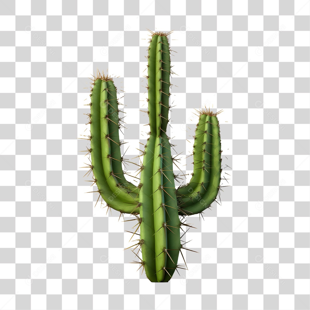 Elemento 3D Cacto Verde De São João Para Composição PNG Transparente
