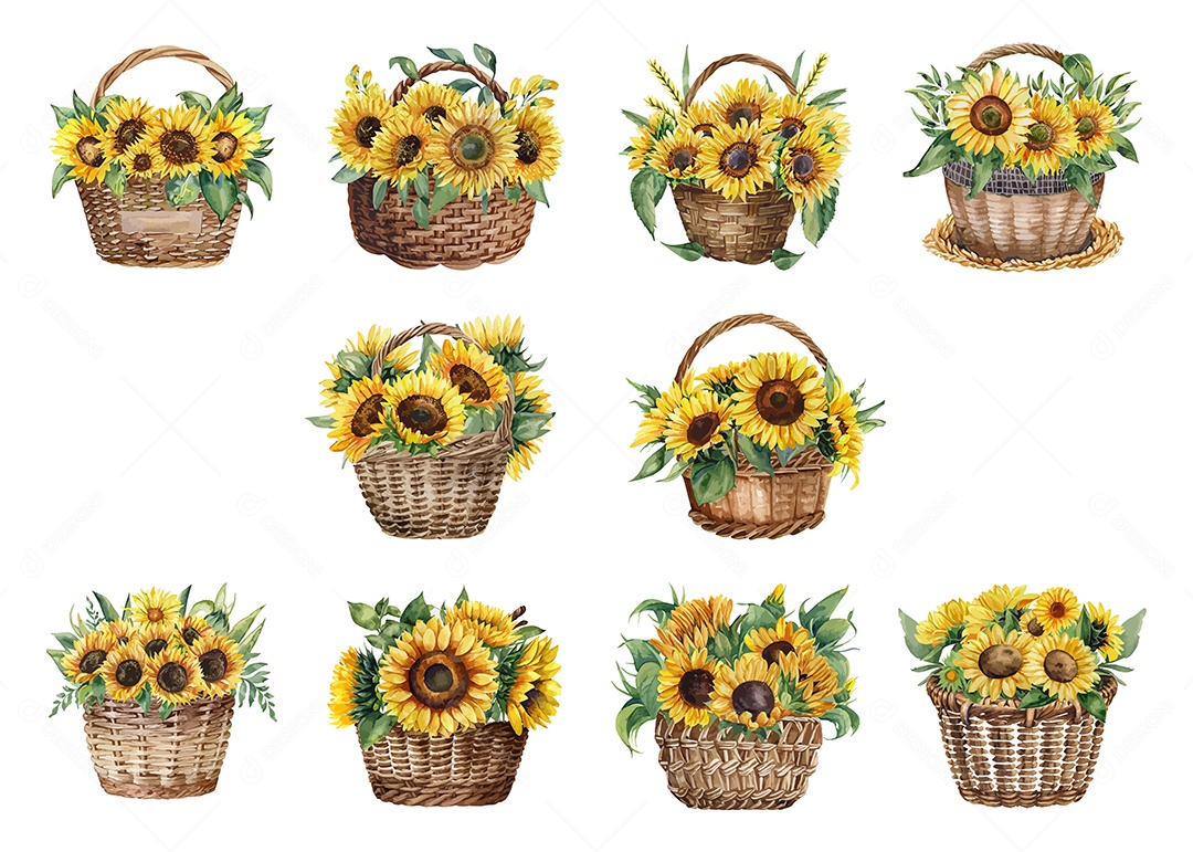 Desenho De Cesto de Flores Girassóis Ilustração Vetorial EPS